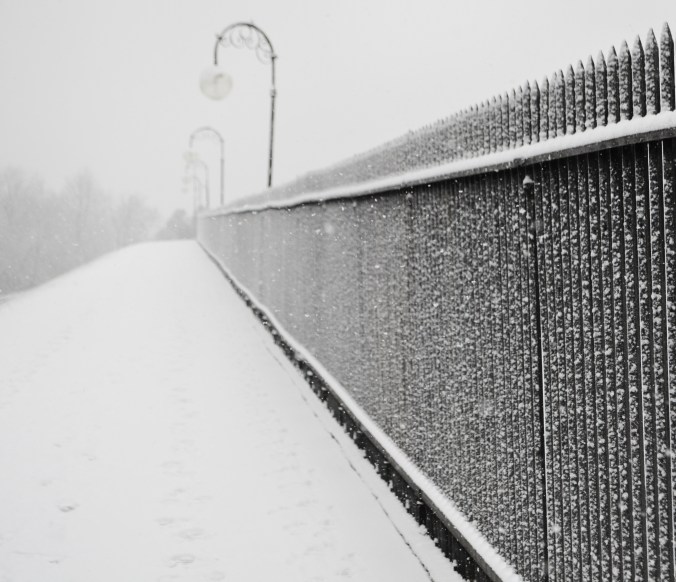 Cobb's Hill Sidewalk