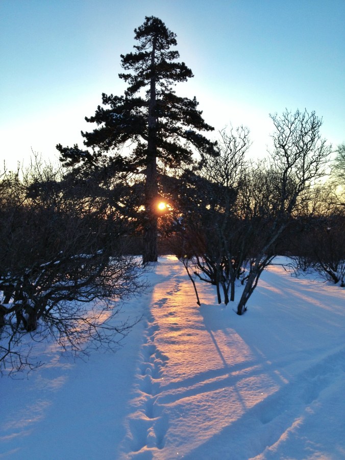 Sun on snow