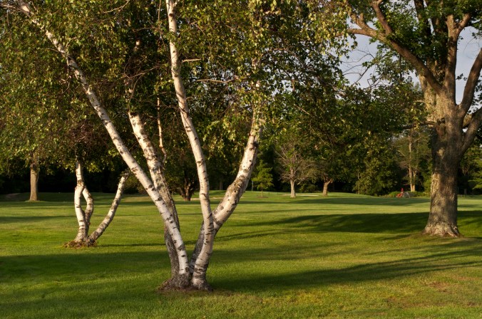 Deerfield CC July 17 Extra 4